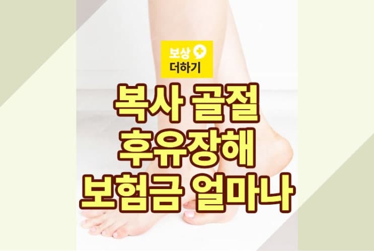 복사 골절 후유장해에 대한 손해 사정, 보험금으로 받은 액수는