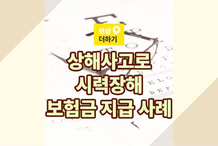 눈의 장해분류표 : 상해 사고로 시력 장해 보험금 지급 사례