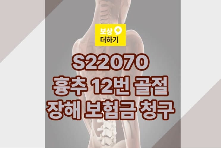 S22070 흉추 12번 압박골절 장해 보험금 청구 (개인, 단체)
