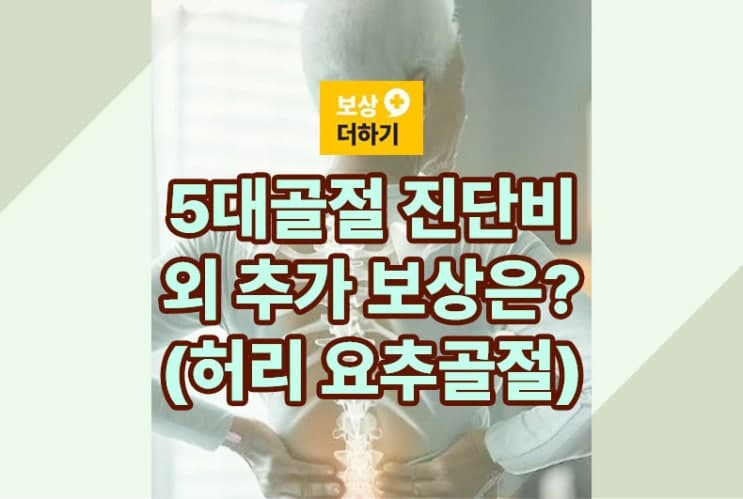 5대골절 진단비 외 추가 보상받기 (허리 골절)