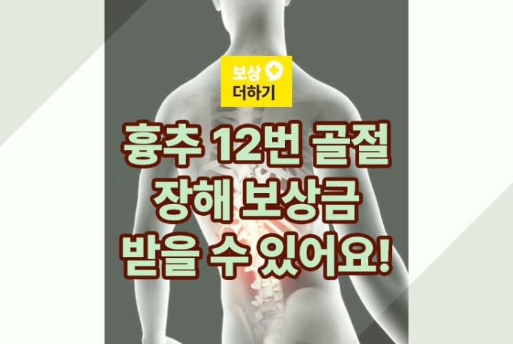 엉덩방아 흉추 골절 (T12) 장해보상 받으세요