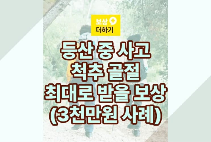 등산 사고 척추 골절, 최대로 받을 보상은? (3천만원 사례)