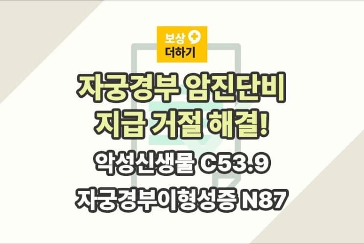 자궁경부암 암진단비 부지급 해결 C53.9 (자궁경부이형성증 N87)