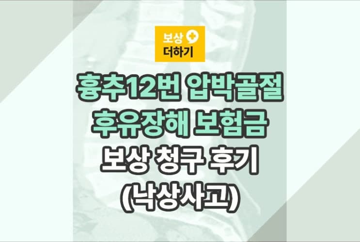 흉추12번 압박골절 후유장해 보험금 청구 (낙상 사고)