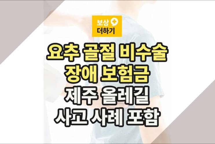 요추 골절 비수술 장애 보험금 받기 (제주 올레길 사고 사례)