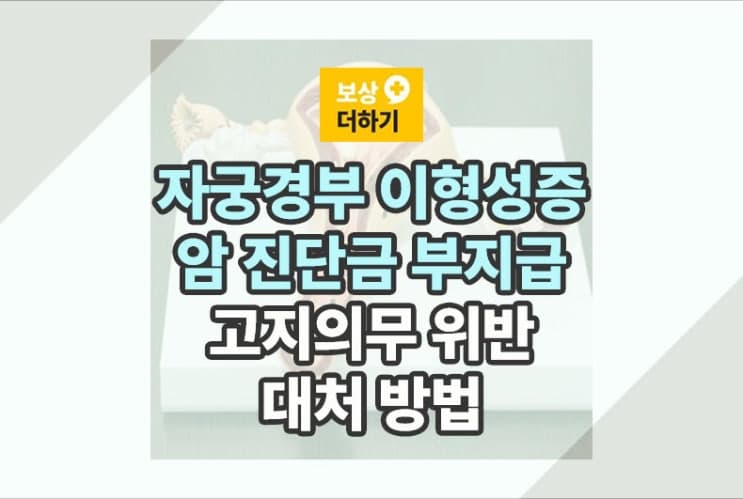 자궁경부 이형성증 암 진단금 거절, 고지의무 위반 대처 방법