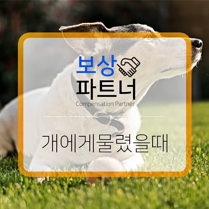 개에게 물린 경우, 손해배상 청구를 할 수 있을까?