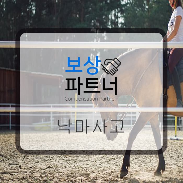 낙마 사고, 누구에게 책임이?