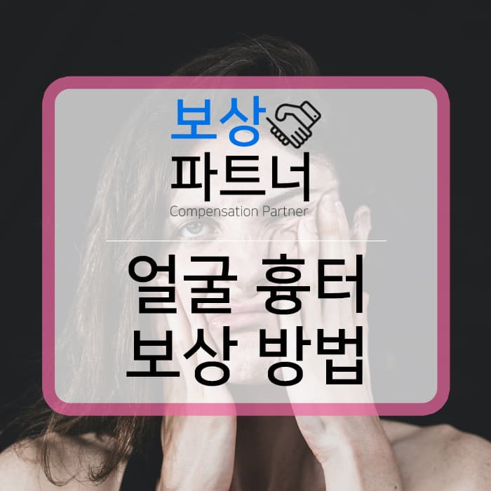 얼굴 흉터, 보험 처리 후유장애 알아보자! :: 부산손해사정