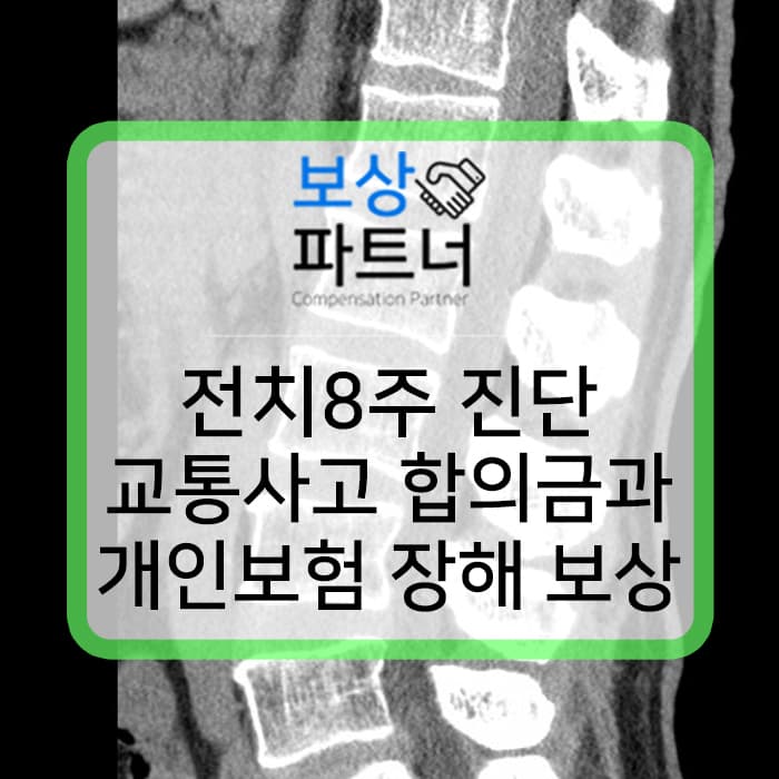교통사고 전치8주 흉추11번 흉추12번 골절 합의금과 보험 후유장해 보상 성공 사례
