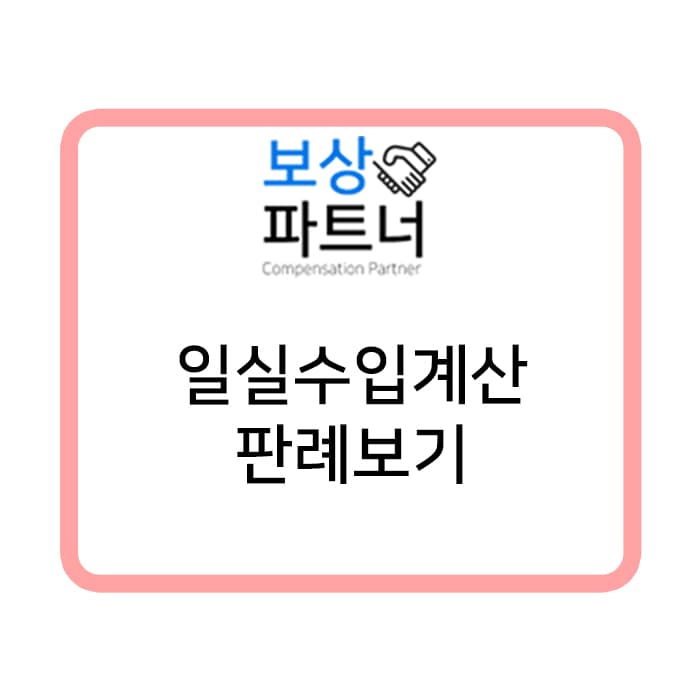 교통사고 사망 의대생 “일실수입” 산정 어떻게?