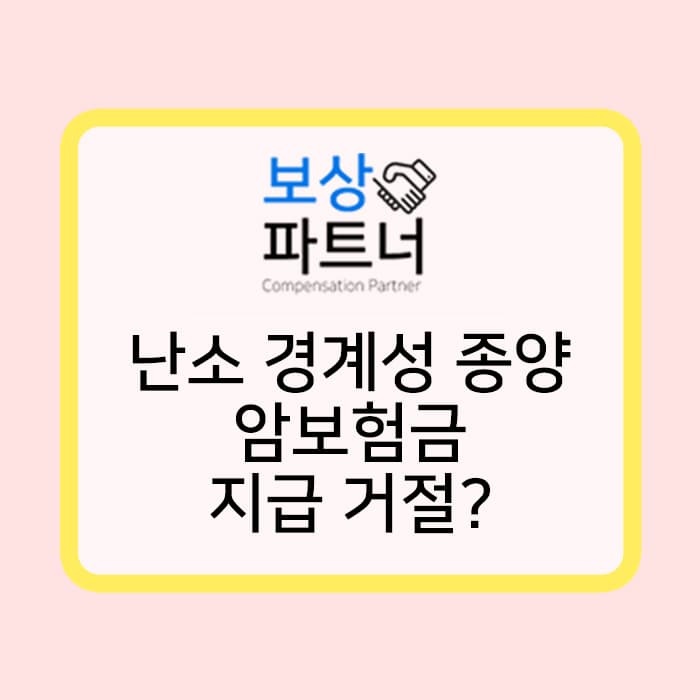 난소에 종양이? 경계성종양 D391 / C56.9 진단으로 암보험금 청구 전 필독해주세요~