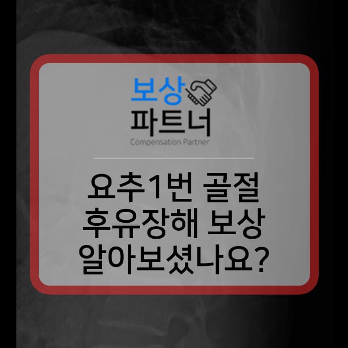 요추1번 Lumbar 척추압박골절보조기 해야한다면 꼭 장해 보상 알아보세요~