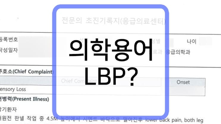 의학용어 LBP 단순한 요통인지, 그 외의 요인인지 알아보세요.