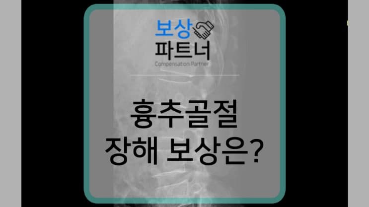 흉추압박골절 척추의 장해 기준은? T3번 T4번 T5번 T6번 T7번 금간 허리 사례