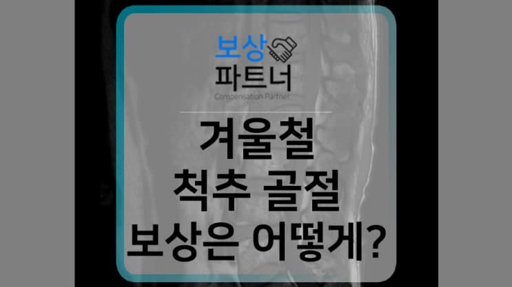 스키장 보드 사고, 흉추 혹은 요추 골절이라면 누구나 후유장해 보험 보상 알아보세요