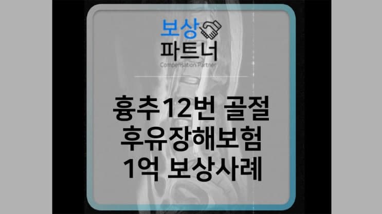 흉추 12번 압박골절 후유장해보험 1억 원 보상 사례