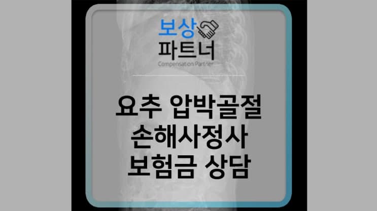 요추압박골절 보험금 청구 손해사정사 상담 사례