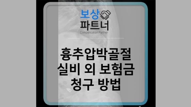 척추압박골절 실비 외 보험금 청구방법(손해사정사 상담)