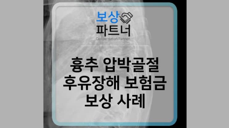 흉추 골절 - 골절진단비 및 후유장해 보험금 청구하기