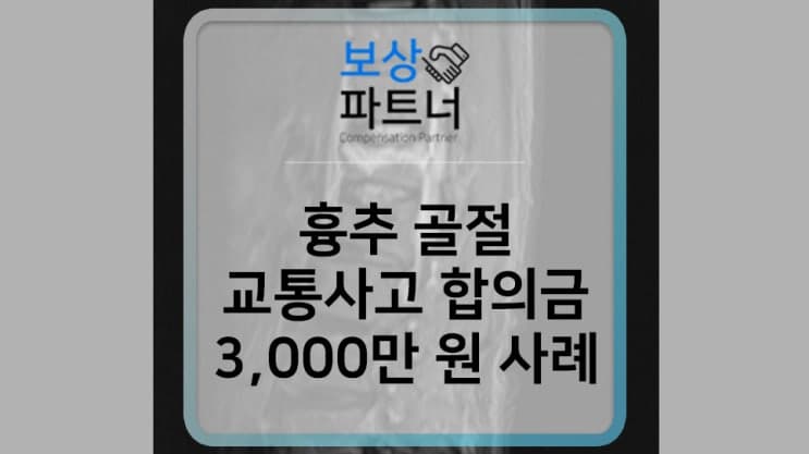 교통사고 합의금 손해사정 사례(T11 T12 흉추골절)