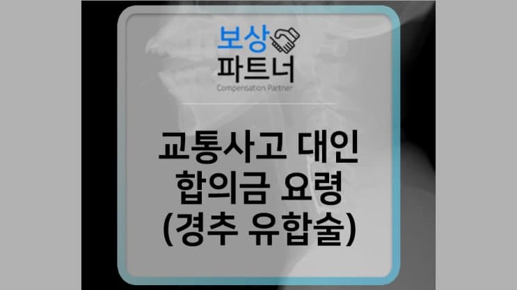 경추 추간판 외상성파열 S130 교통사고 대인합의금 요령