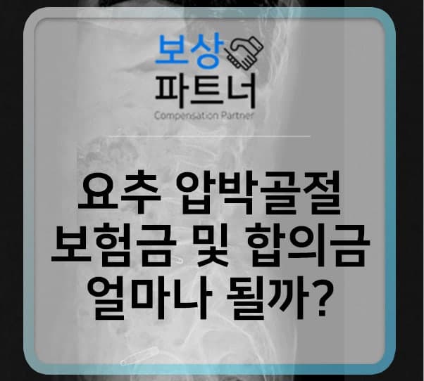 S32030 요추2번 압박골절 후유장해 보험금 및 합의금 얼마일까?