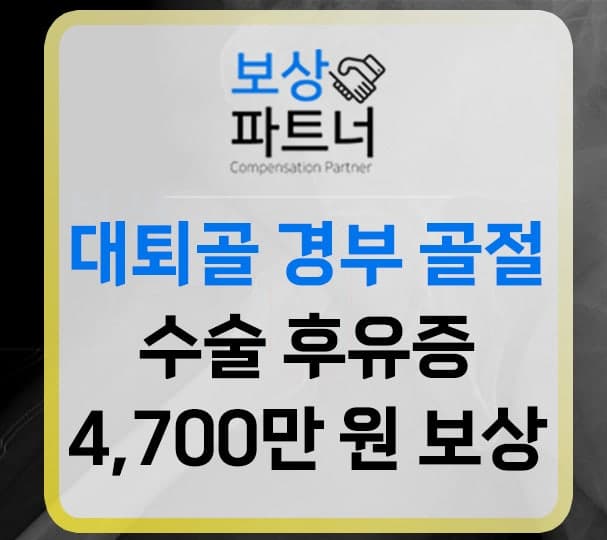 해외 여행 중 대퇴골 골절, 여행자보험으로 총 4,750만원 보상받은 실제 후기